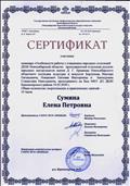 СЕРТИФИКАТ участника семинара "Особенности работы с учащимися наролных отделений ДШИ Новосибирской области"В.Е.Бордунов. р.п.Краснозерное 19.03.2019 г. СЕРТИФИКАТ участника семинара "Особенности работы с учащимися наролных отделений ДШИ Новосибирской области"В.Е.Бордунов. р.п.Краснозерное 19.03.2019 г.